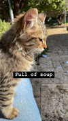 dante_yangpa Altpins Profile Picture