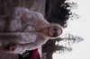 ch111oe Altpins Profile Picture