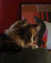 emmamarshalluk Altpins Profile Picture