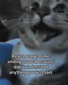 ellaexplicit_ Altpins Profile Picture