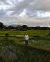 daryanedarya Altpins Profile Picture