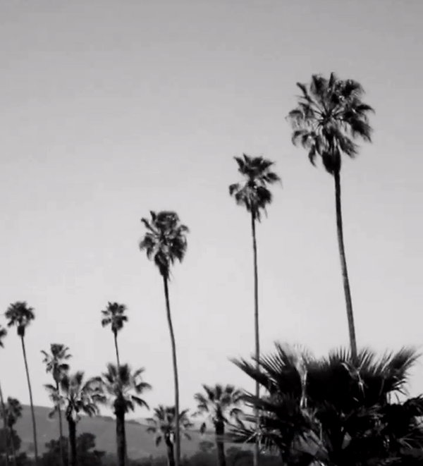zoeliss instagram image archive image