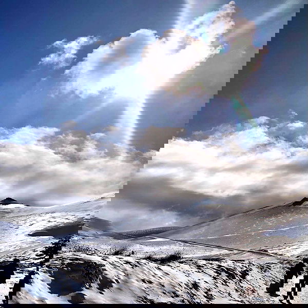 naia_gg naia_gg archive image