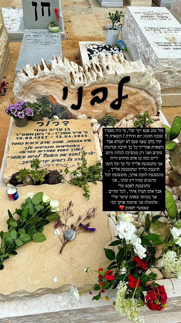 shay_livni archive image