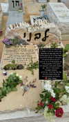 shay_livni Altpins Profile Picture
