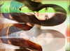 mariagabrielasantos Altpins Profile Picture