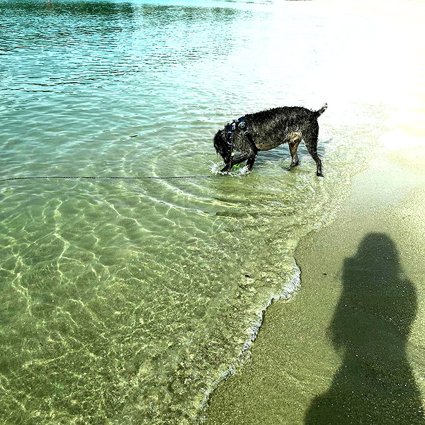 lolontlia instagram image archive image