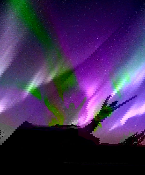 taylor.creeden taylor.creeden archive image