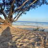 daisy_r_19 Altpins Profile Picture