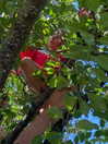 biancanataliie Altpins Profile Picture