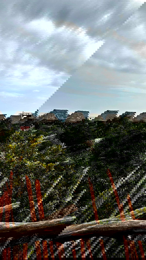 taylor.creeden taylor.creeden archive image