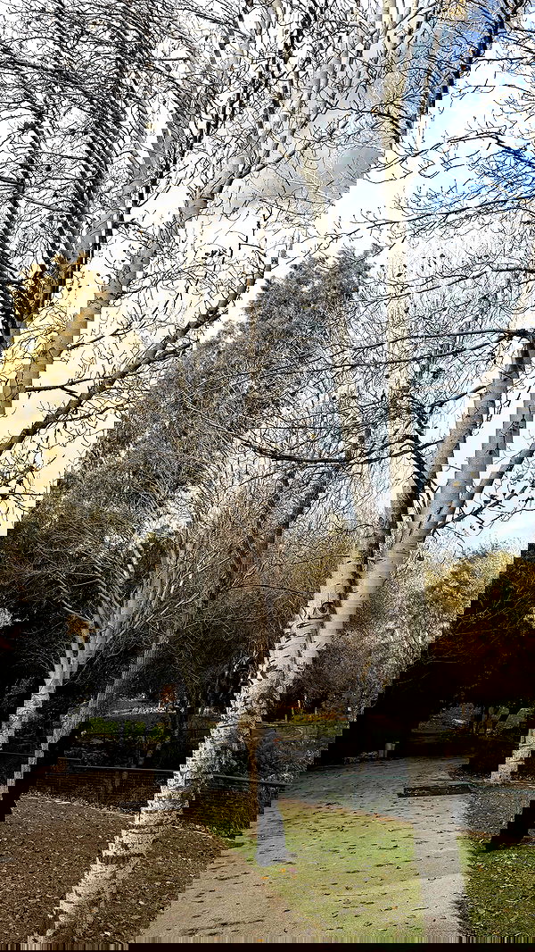 strawberryshanz strawberryshanz archive image