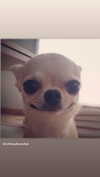 babynympho_archive Altpins Profile Picture