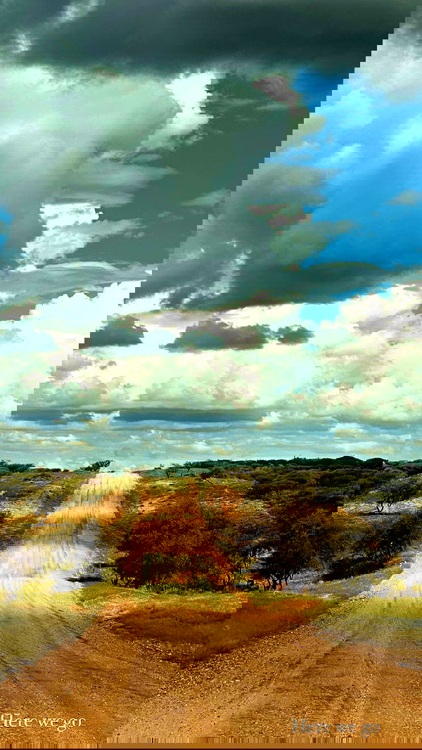 taylor.creeden taylor.creeden archive image