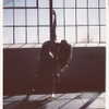 ellianawalmsley Altpins Profile Picture