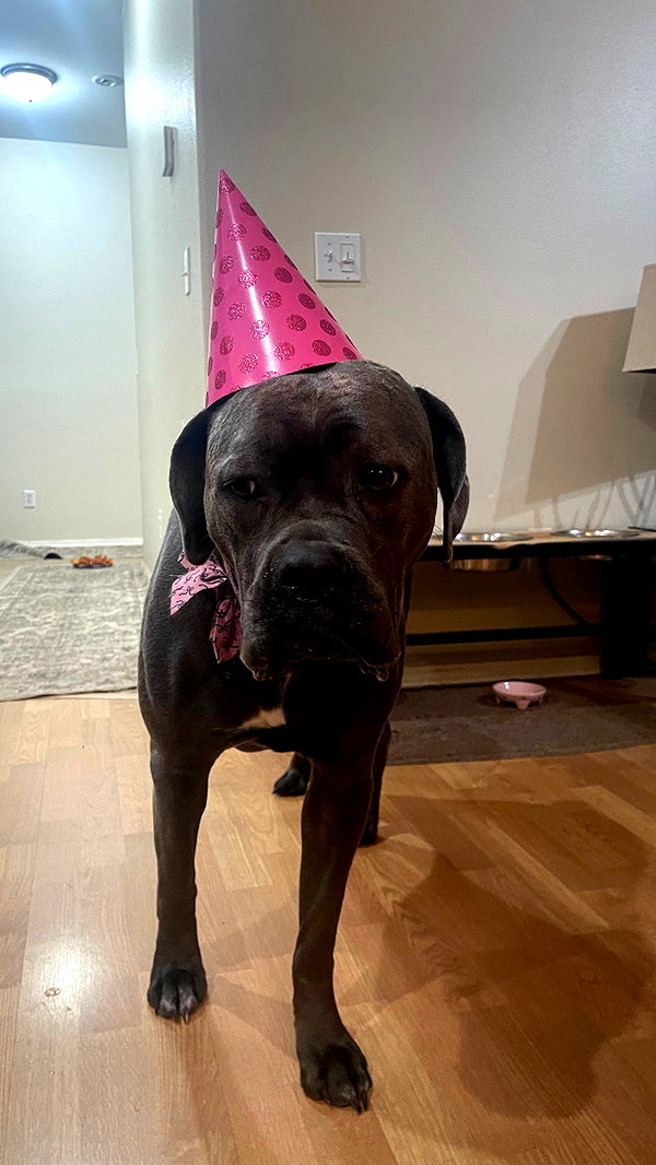 Archived image from @e1or4 on Instagram