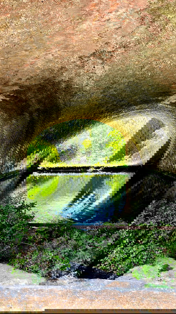 shunli__mei image ~ Altpins