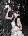 nixqq.425_ Altpins Profile Picture