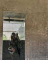 yahel_tubul Altpins Profile Picture