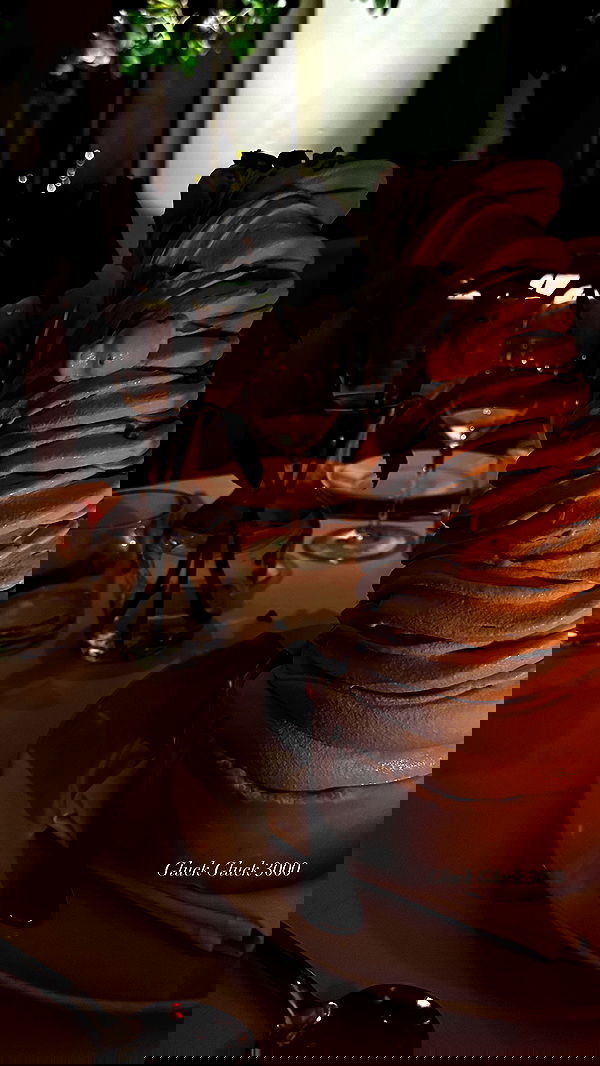 taylor.creeden taylor.creeden archive image