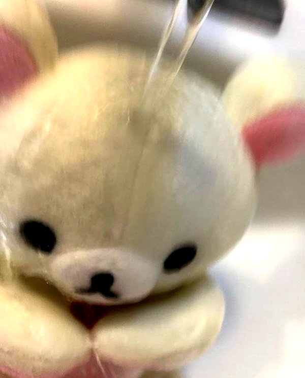 mewisa instagram image archive image