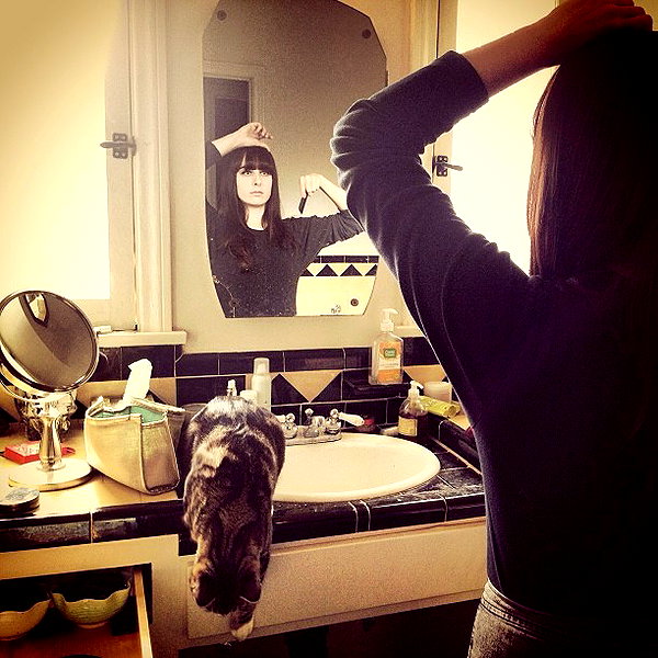 alexandradaddario instagram image archive image