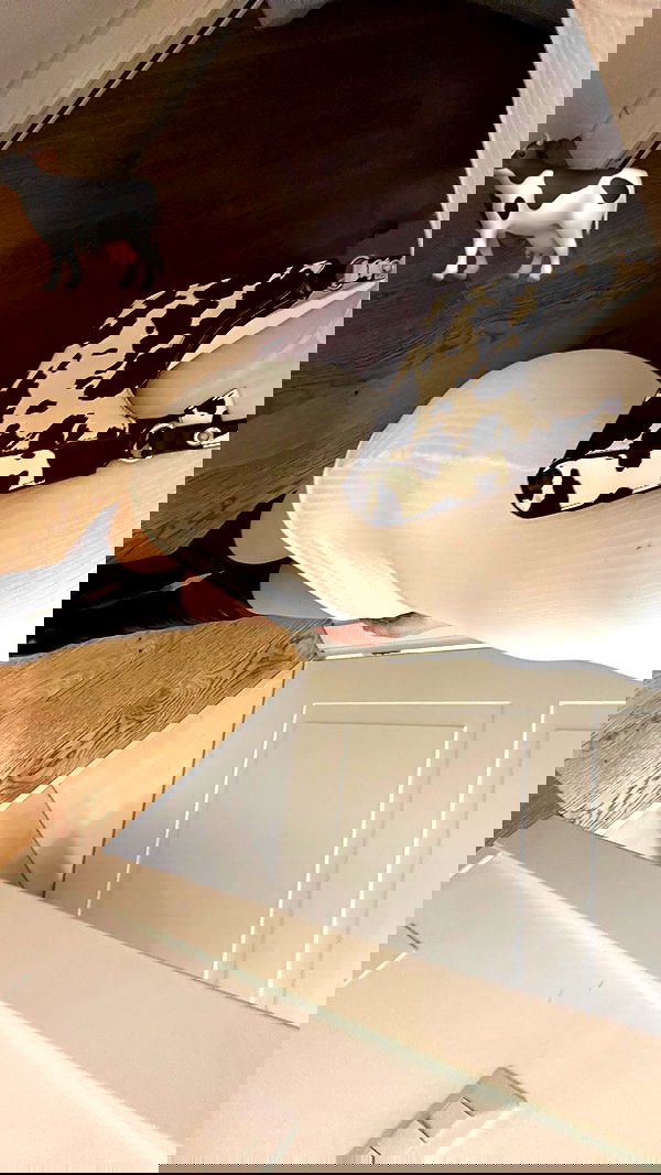 manjolamuriqi manjolamuriqi archive image