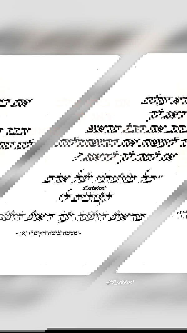 _lil_noa_ _lil_noa_ archive image