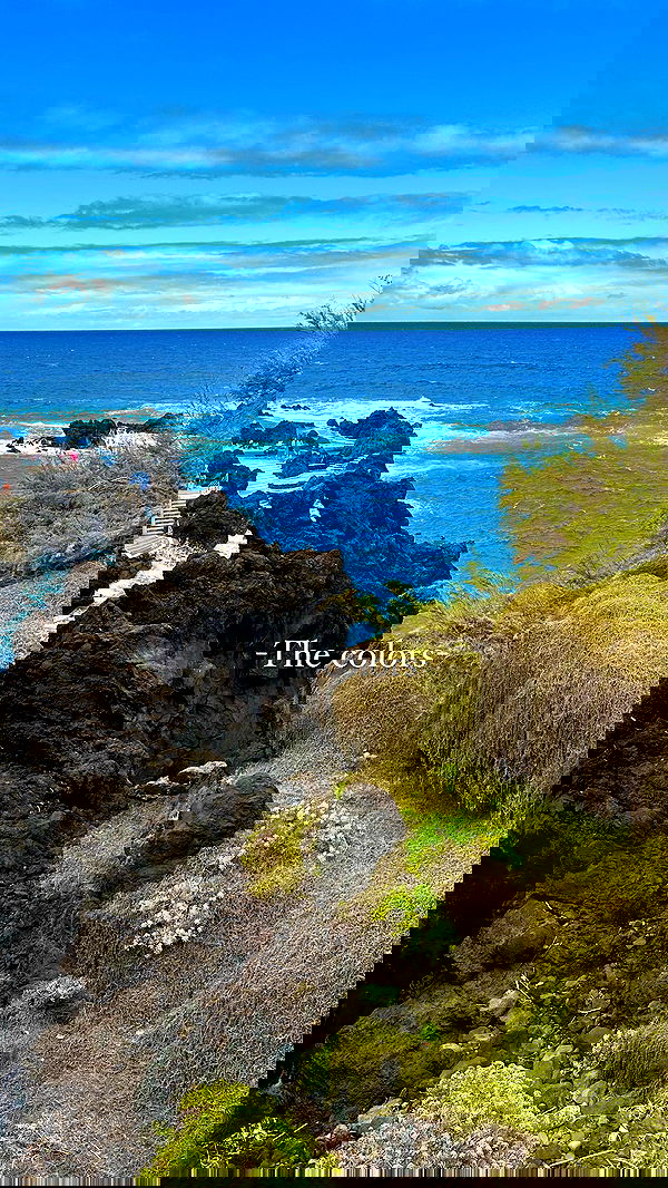 taylor.creeden taylor.creeden archive image