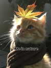 milkibunshehe Altpins Profile Picture
