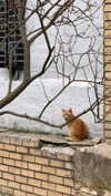 ptpchik Altpins Profile Picture