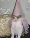 milkiwifey Altpins Profile Picture