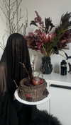 vvelum_ Altpins Profile Picture