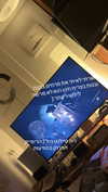 elohim_adirim Altpins Profile Picture