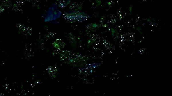 midnightdrearry instagram image archive image
