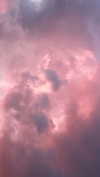 elizabethcampbelljones Altpins Profile Picture