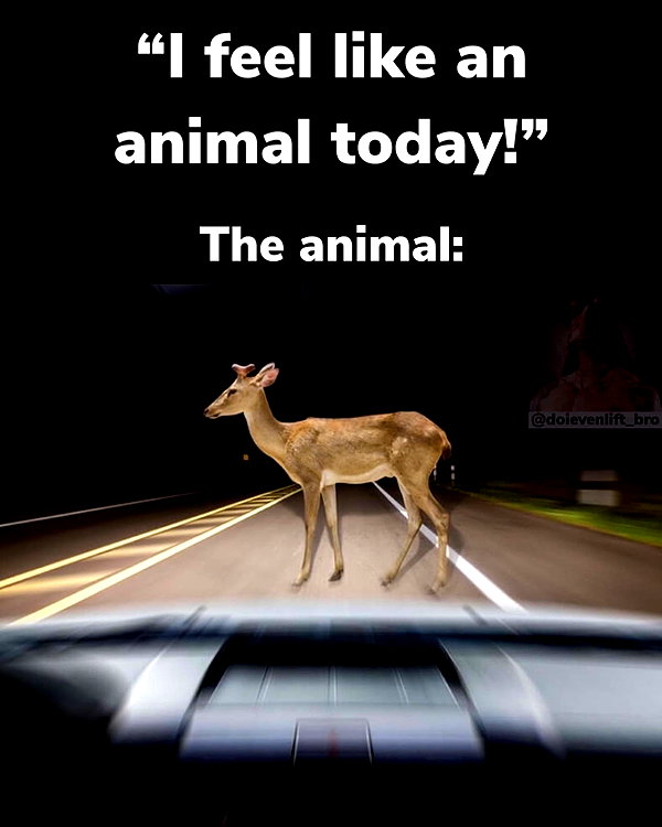 leanbeefpatty instagram image archive image