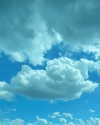 dear.zia Altpins Profile Picture