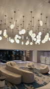 sonia_litvanchuk Altpins Profile Picture
