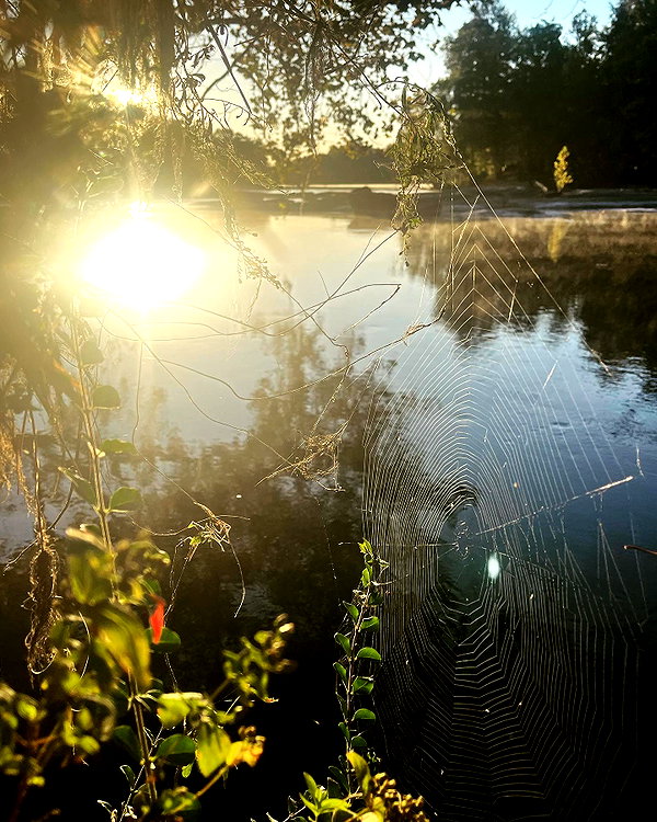 arachni.ba3 instagram image archive image