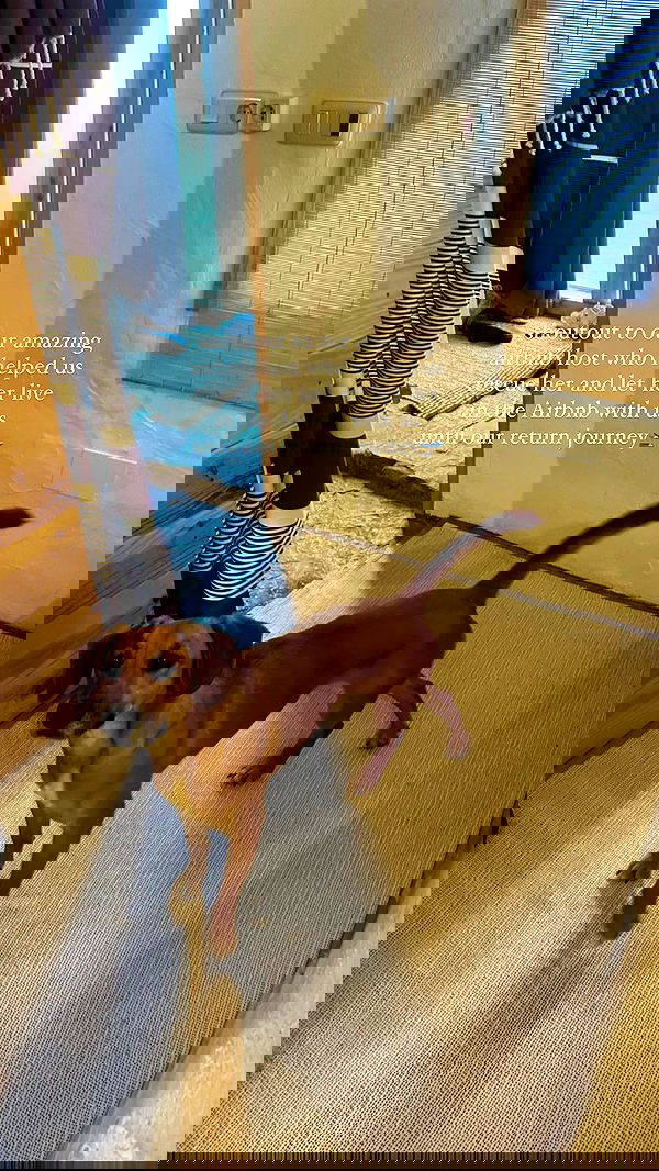 manjolamuriqi manjolamuriqi archive image