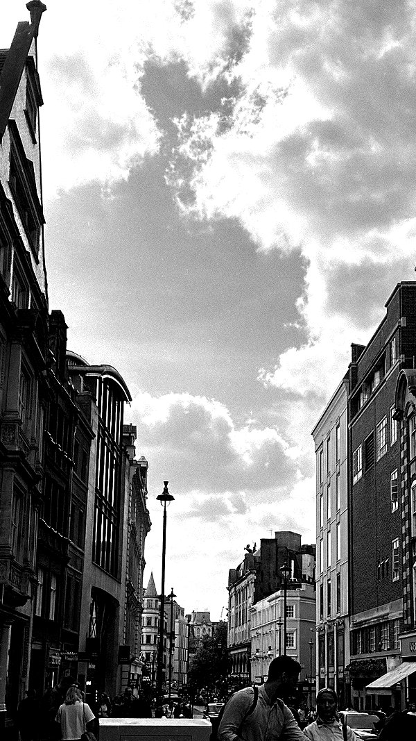 liashaked liashaked archive image