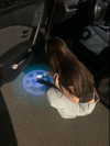 elviksi_07 Altpins Profile Picture