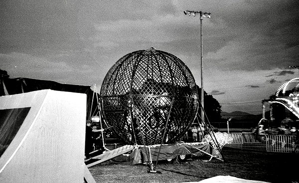 bugz4brainz instagram image archive image
