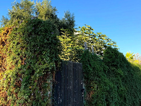 efrat_elmalich instagram image archive image