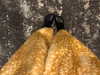 daryanedarya Altpins Profile Picture