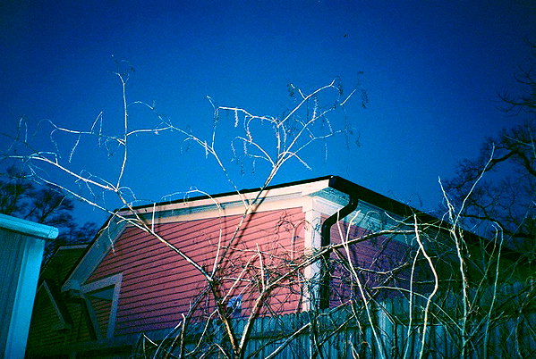 bugz4brainz instagram image archive image