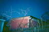 bugz4brainz Altpins Profile Picture