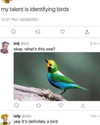 ellaexplicit_ Altpins Profile Picture