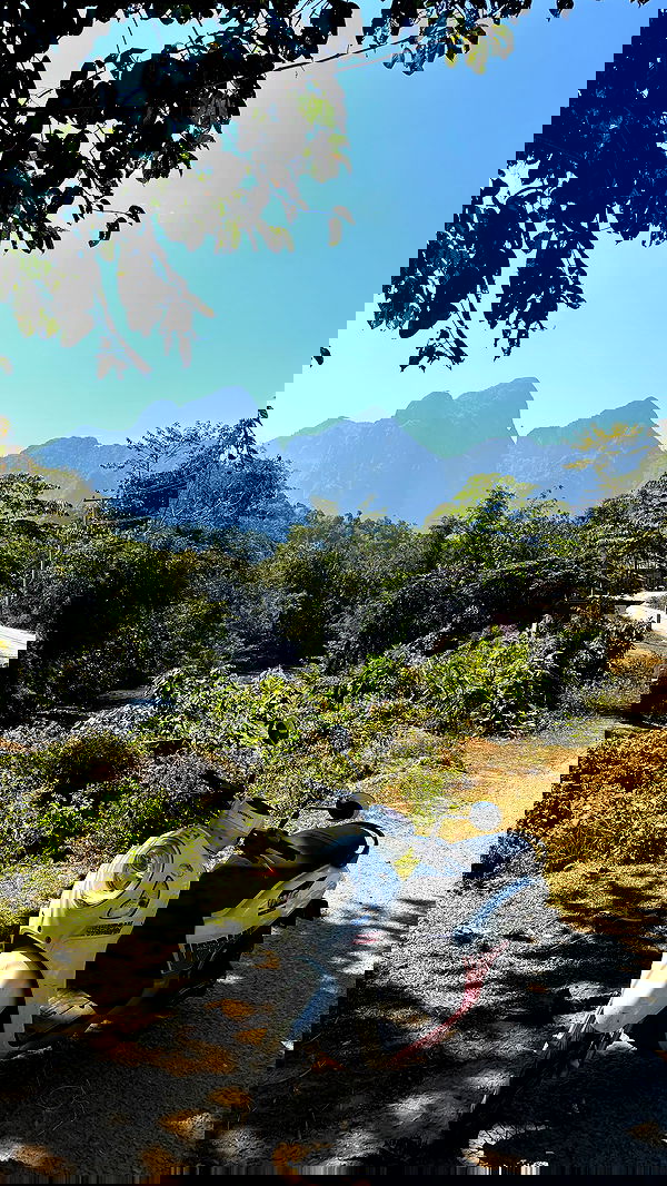 yam_adler yam_adler archive image